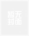 请小姐规则