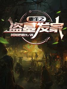 重生之盗壁纸